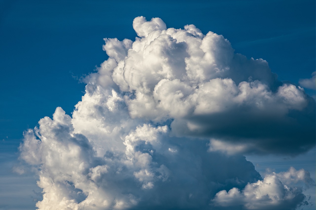 découvrez comment le militantisme climatique mobilise des individus et des communautés pour lutter contre le changement climatique. explorez les actions, les initiatives et les mouvements qui visent à sensibiliser et à apporter des solutions durables pour la planète.