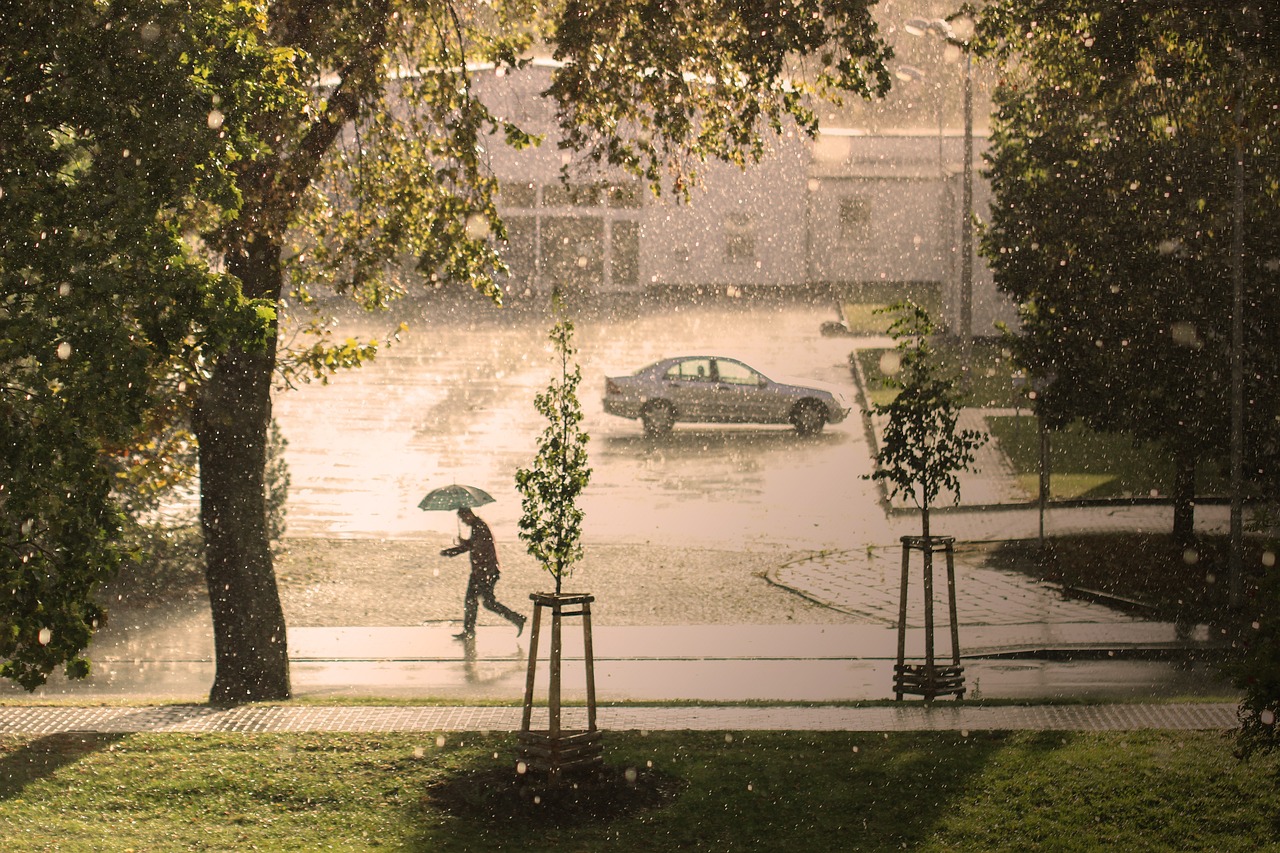 découvrez les enjeux du climat, l'impact des changements climatiques sur notre planète et les actions que nous pouvons entreprendre pour préserver notre environnement et garantir un avenir durable.