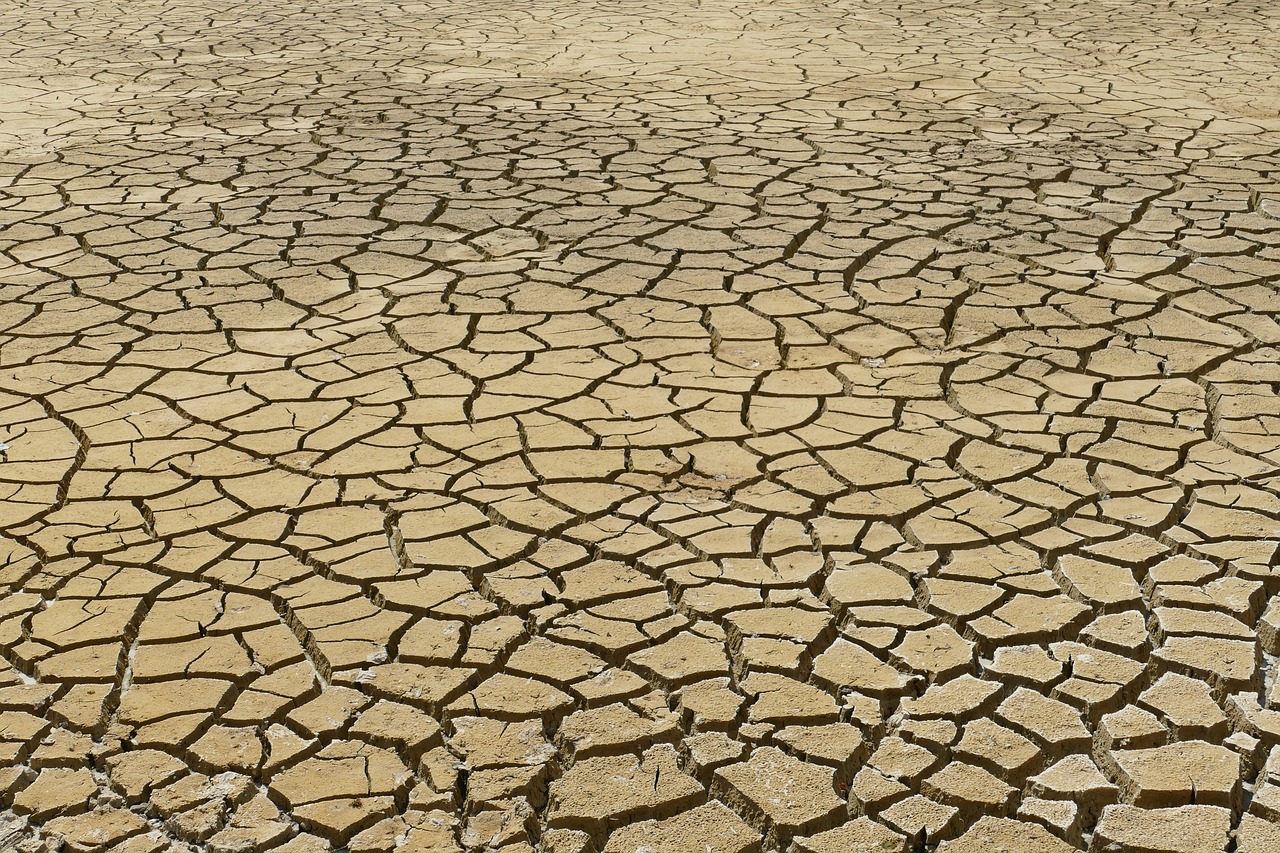 découvrez l'impact du changement climatique sur notre planète, les enjeux environnementaux majeurs et les solutions durables pour un avenir meilleur.