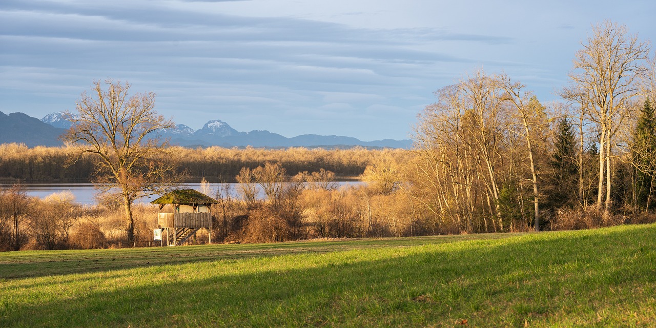 découvrez l'importance des zones forestières protégées, essentielles pour la conservation de la biodiversité, la lutte contre le changement climatique et la préservation des ressources naturelles. apprenez comment ces espaces jouent un rôle clé dans la santé de notre planète et les initiatives pour leur protection.