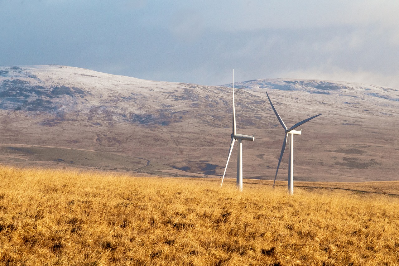 découvrez les énergies renouvelables, une solution durable pour un avenir meilleur. apprenez comment elles transforment notre manière de produire et de consommer de l'énergie tout en préservant notre planète.