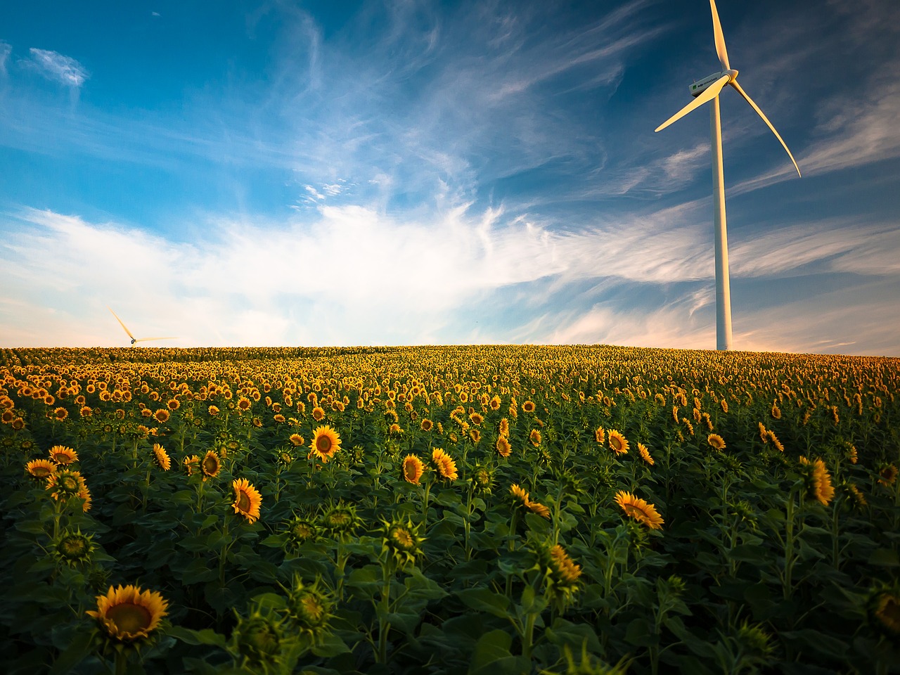 découvrez les énergies renouvelables, une solution durable pour un avenir énergétique vert. explorez les différentes sources d'énergie renouvelable telles que l'énergie solaire, éolienne et hydraulique, et apprenez comment elles contribuent à la protection de notre planète tout en réduisant notre dépendance aux combustibles fossiles.