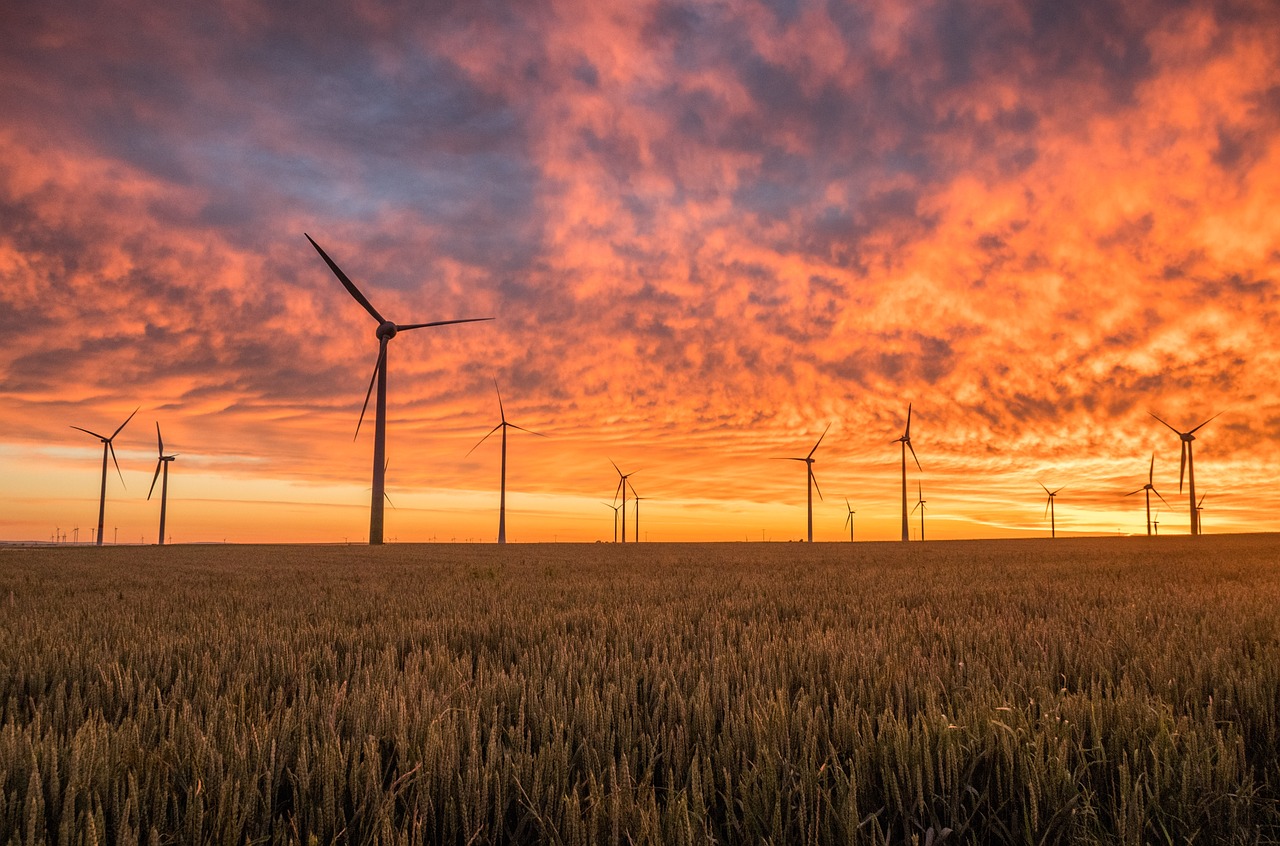 découvrez l'importance des énergies renouvelables pour un avenir durable. explorez les différentes sources d'énergie comme le solaire, l'éolien et l'hydraulique, et apprenez comment elles contribuent à réduire notre empreinte carbone tout en répondant aux besoins énergétiques croissants de la planète.