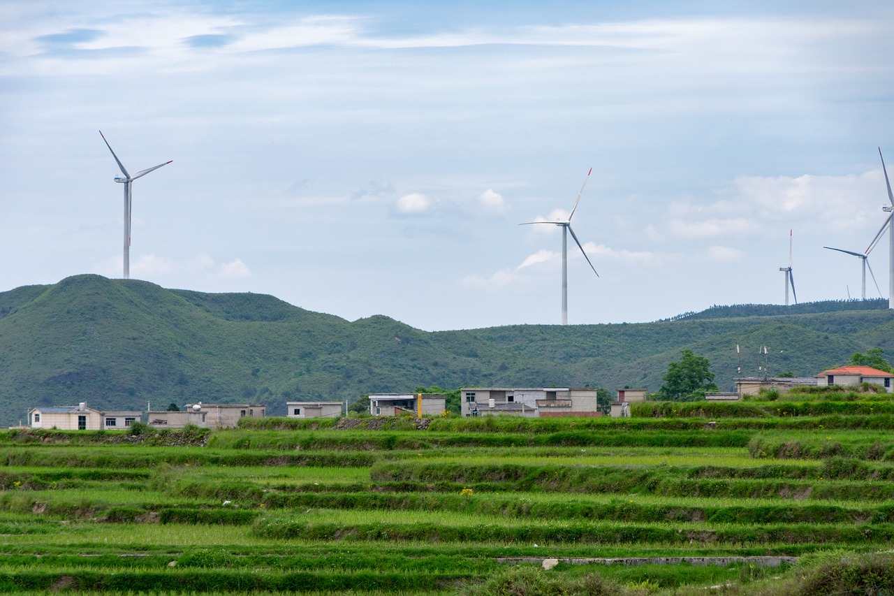 découvrez les enjeux et les stratégies du développement durable, alliant progrès économique, équité sociale et protection de l'environnement pour un avenir harmonieux et responsable.