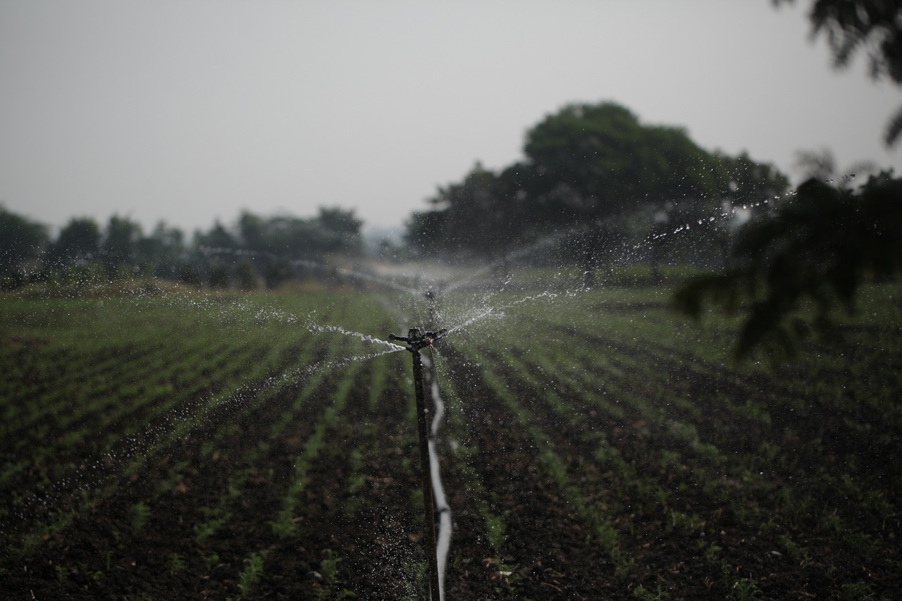 découvrez les meilleures pratiques en gestion de l'eau pour assurer une utilisation efficace et durable de cette ressource précieuse. apprenez comment optimiser les systèmes de distribution, préserver les écosystèmes aquatiques et garantir un approvisionnement en eau pour les générations futures.