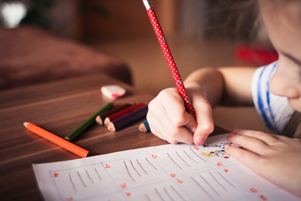 Éducation à distance et changement climatique : opportunités et défis