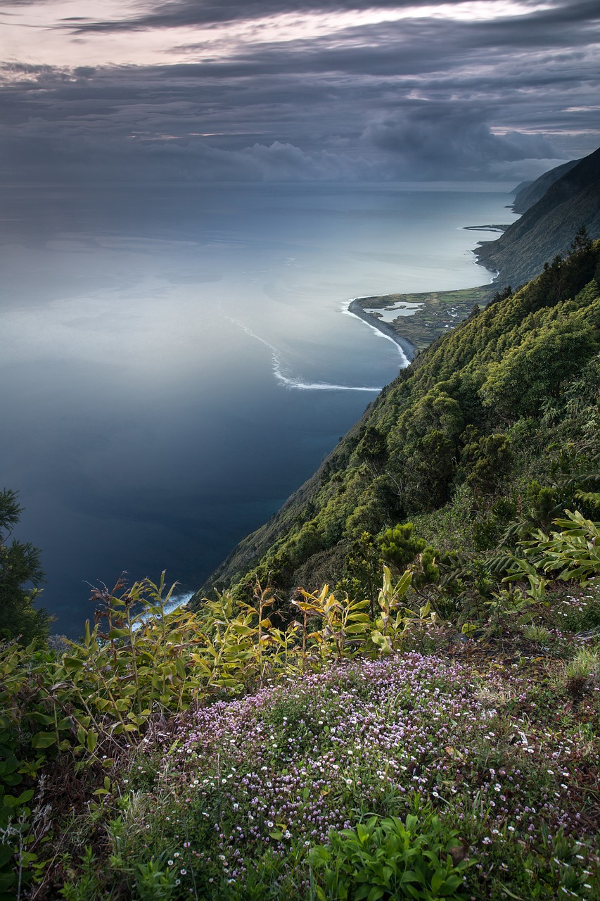 découvrez les enjeux cruciaux de la conservation de la biodiversité, son impact sur notre planète et comment chacun peut agir pour préserver la richesse naturelle de notre environnement.