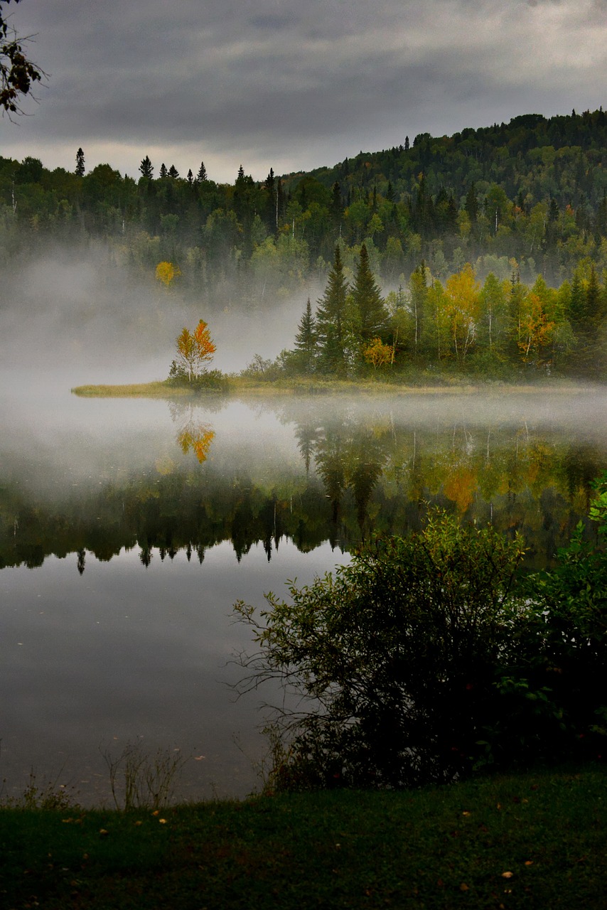 découvrez les interactions entre le climat et la biodiversité, essentielles pour comprendre les impacts des changements environnementaux sur les écosystèmes. explorez comment les variations climatiques influencent la faune et la flore et les stratégies pour préserver notre précieux patrimoine naturel.