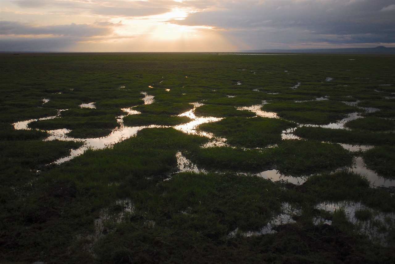 découvrez les enjeux cruciaux de la crise climatique, ses impacts sur notre planète et les actions à entreprendre pour préserver l'avenir des générations futures. engagez-vous dans la lutte pour un monde durable.