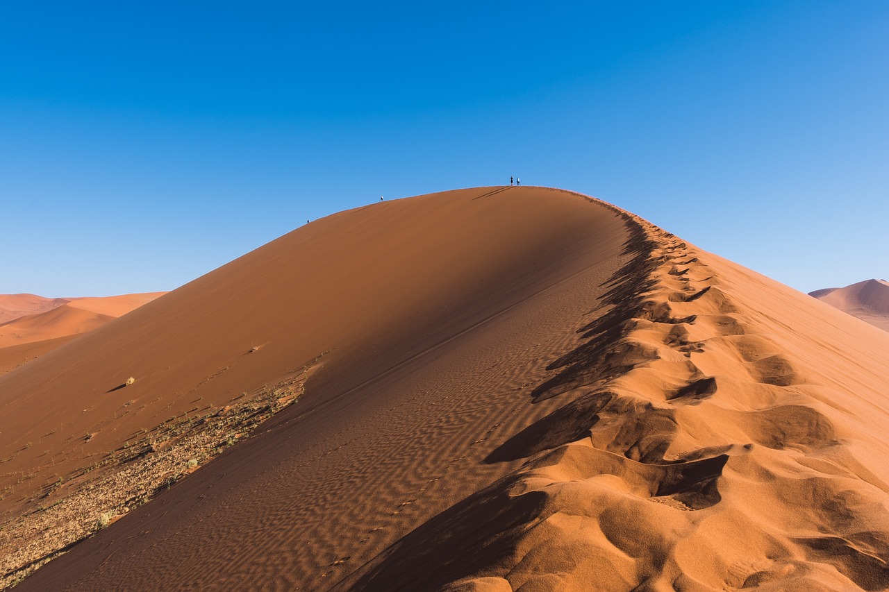 découvrez l'efficacité des politiques climatiques dans la lutte contre le changement climatique. analysez les stratégies mises en place, leurs impacts et les défis à relever pour un avenir durable. explorez les meilleures pratiques et les principes directeurs qui façonnent un avenir respectueux de l'environnement.