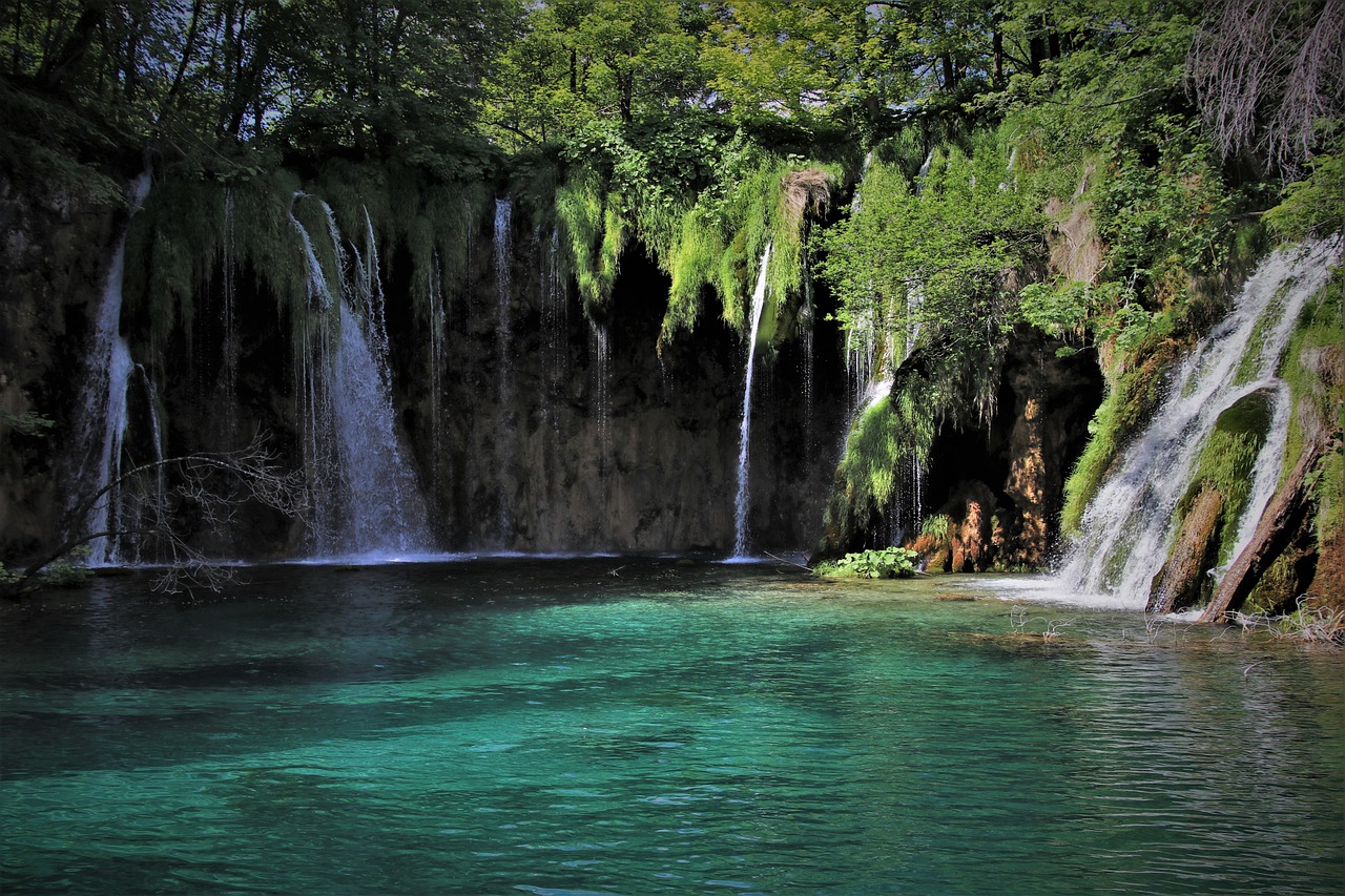 découvrez l'écotourisme, un mode de voyage respectueux de l'environnement qui combine aventure, préservation de la nature et immersion culturelle. explorez des destinations durables tout en participant à la protection de la biodiversité et des communautés locales.