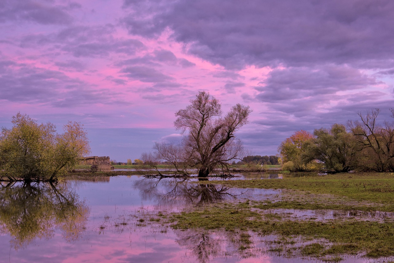 découvrez les causes, les conséquences et les mesures à prendre face aux inondations. informez-vous sur les risques d'inondation et comment se préparer efficacement pour protéger votre maison et votre famille.