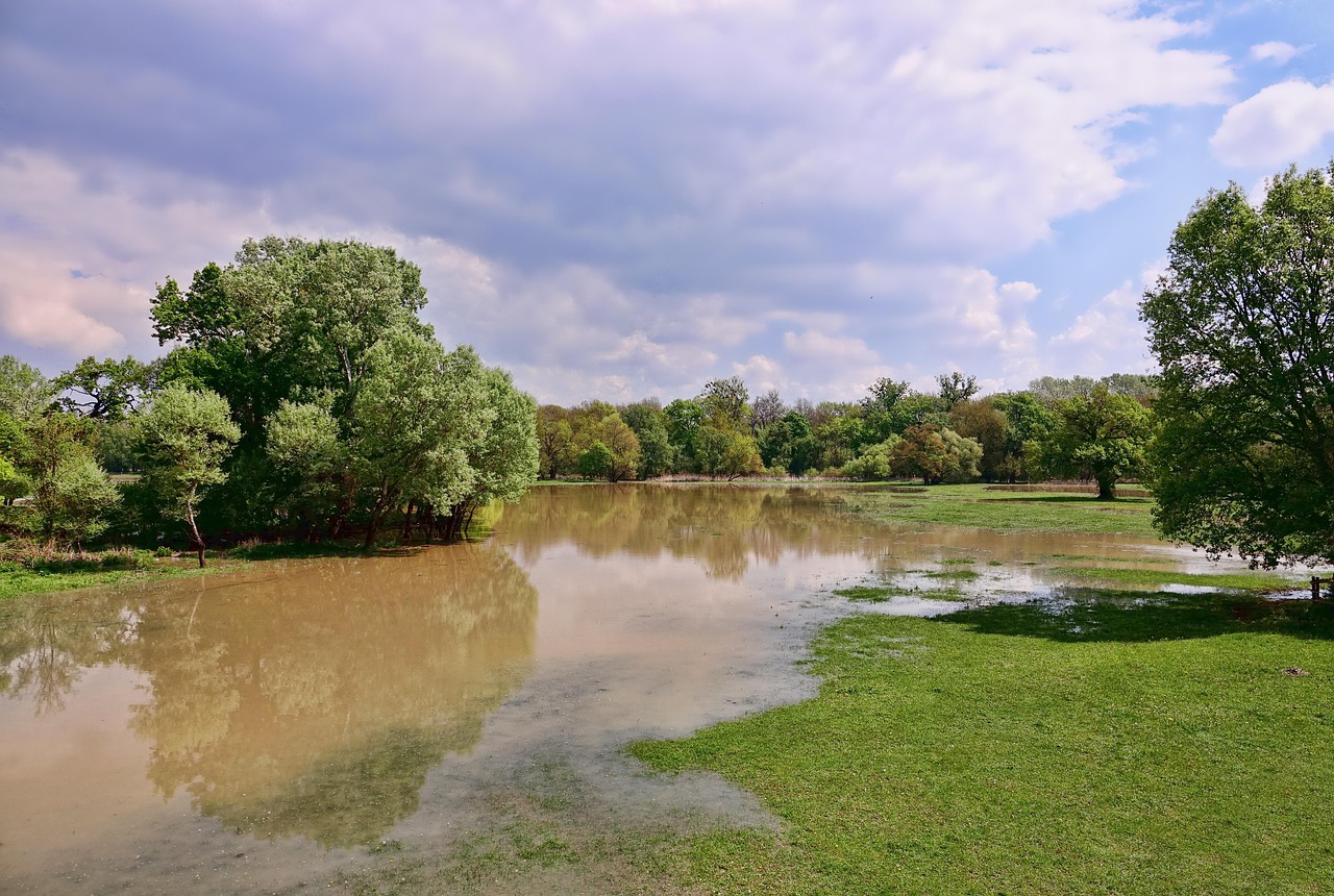 découvrez les impacts dévastateurs des inondations, les causes et les solutions pour se préparer face à ce phénomène naturel croissant. informez-vous sur les mesures de prévention et les conseils pratiques pour protéger votre environnement et votre bien-être.