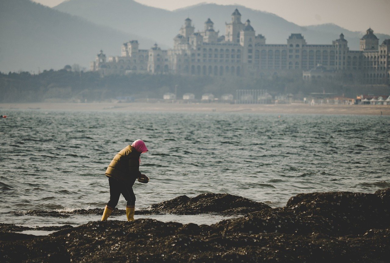 découvrez la richesse de la biodiversité marine, un écosystème vital qui abrite une multitude d'espèces uniques. explorez son importance pour l'équilibre écologique et les défis de sa préservation face aux menaces environnementales.