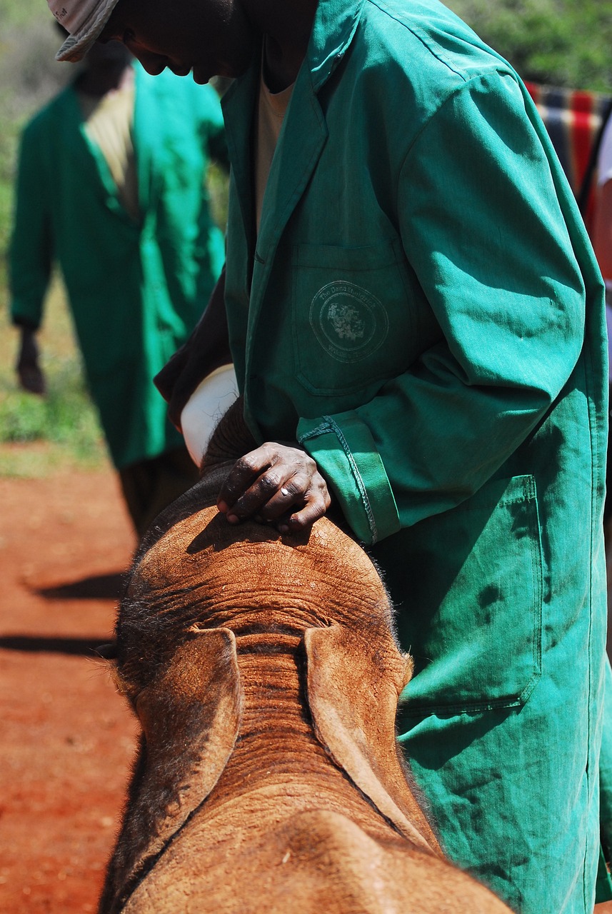 découvrez le monde des ong (organisations non gouvernementales) et leur impact social. explorez comment ces institutions contribuent à des causes diverses, de l'aide humanitaire à la protection de l'environnement, et comment vous pouvez vous impliquer pour faire une différence.