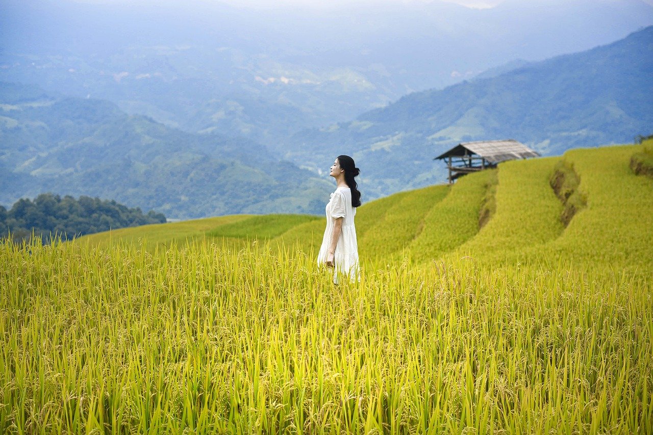 découvrez l'importance et le rôle des femmes rurales dans le développement communautaire, leur contribution à l'agriculture durable, et les défis qu'elles rencontrent au quotidien. cette exploration met en lumière leur résilience et leur impact sur l'économie locale.