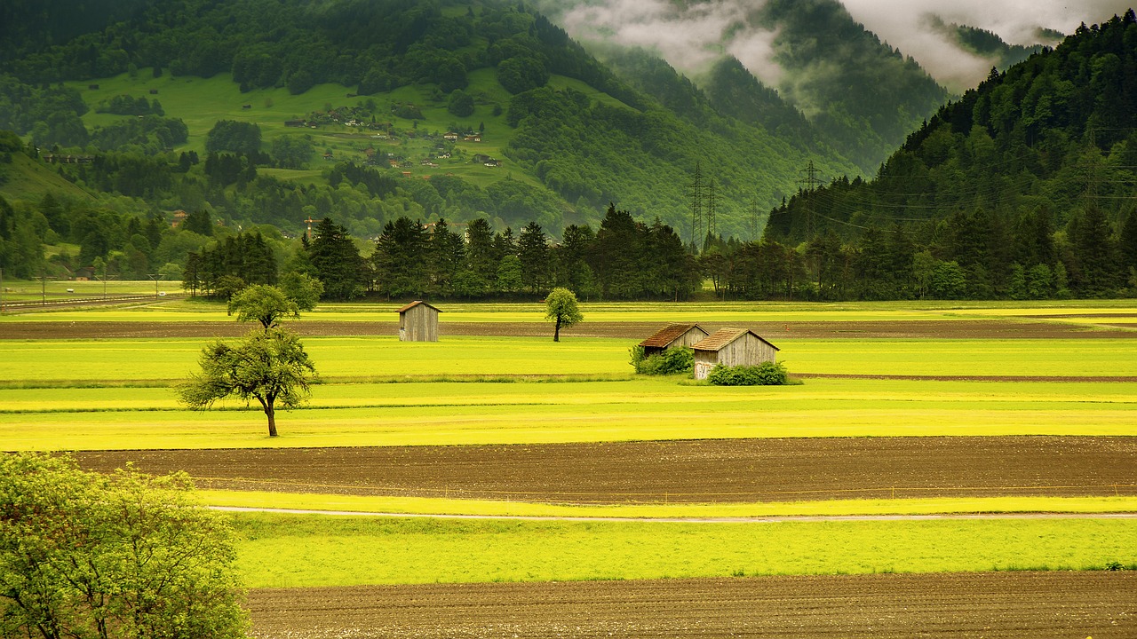 découvrez les fermes urbaines, un concept innovant alliant agriculture et vie citadine. cultivez des aliments frais et locaux en plein cœur de la ville, tout en contribuant à un mode de vie durable et à la réduction de l'empreinte carbone. rejoignez le mouvement des fermes urbaines et transformez votre espace urbain en une oasis de verdure!