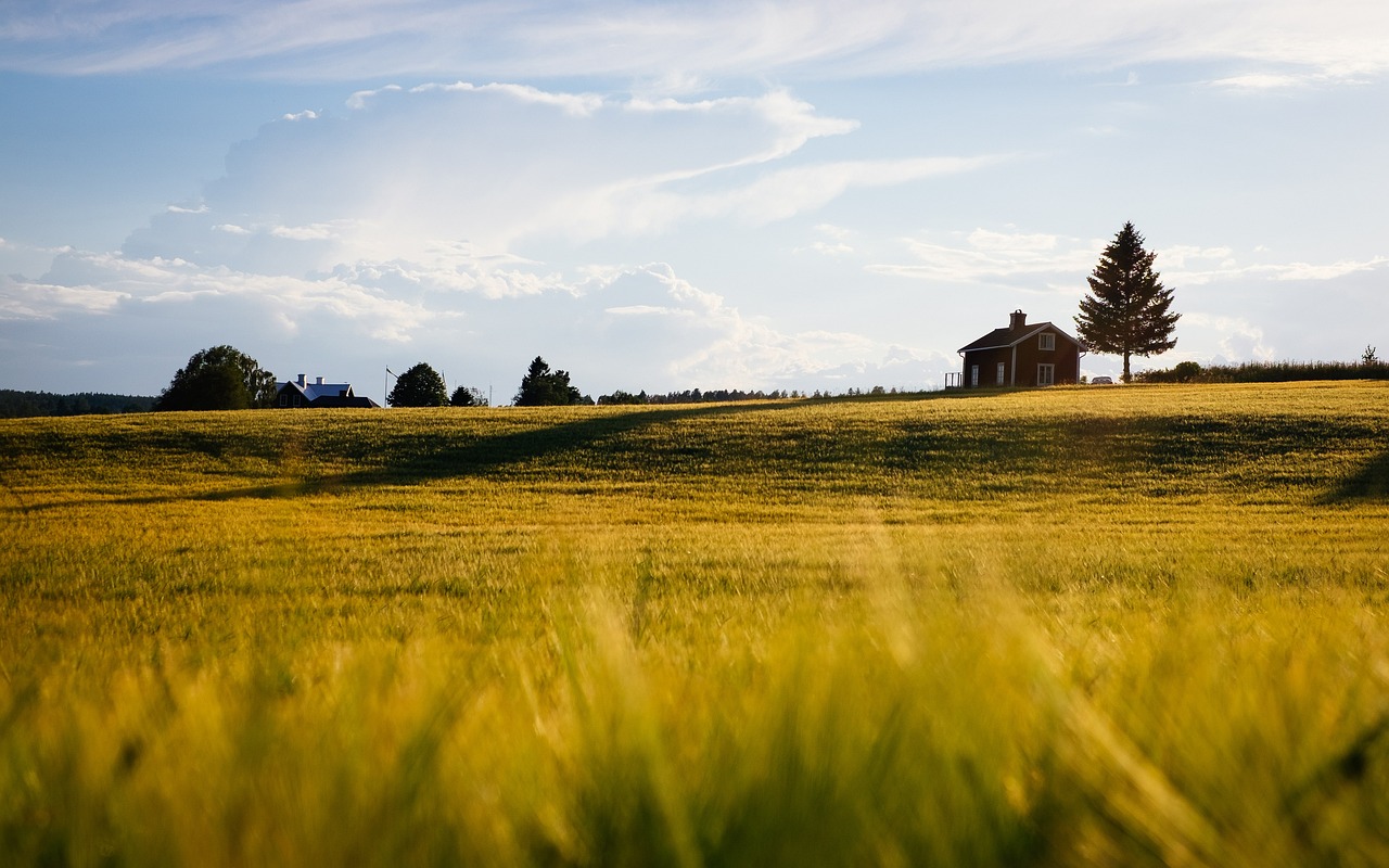 découvrez l'univers des fermes urbaines, où la nature rencontre la ville. apprenez comment ces espaces innovants transforment des environnements urbains en oasis de verdure, favorisant la durabilité, la biodiversité et la production locale. explorez les avantages des récoltes urbaines pour une alimentation saine et responsable.