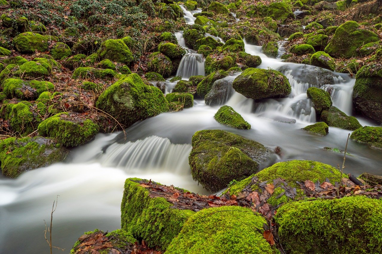 découvrez les enjeux de la crise de l'eau, ses impacts sur l'environnement et la société, ainsi que les solutions durables pour préserver cette ressource essentielle pour les générations futures.