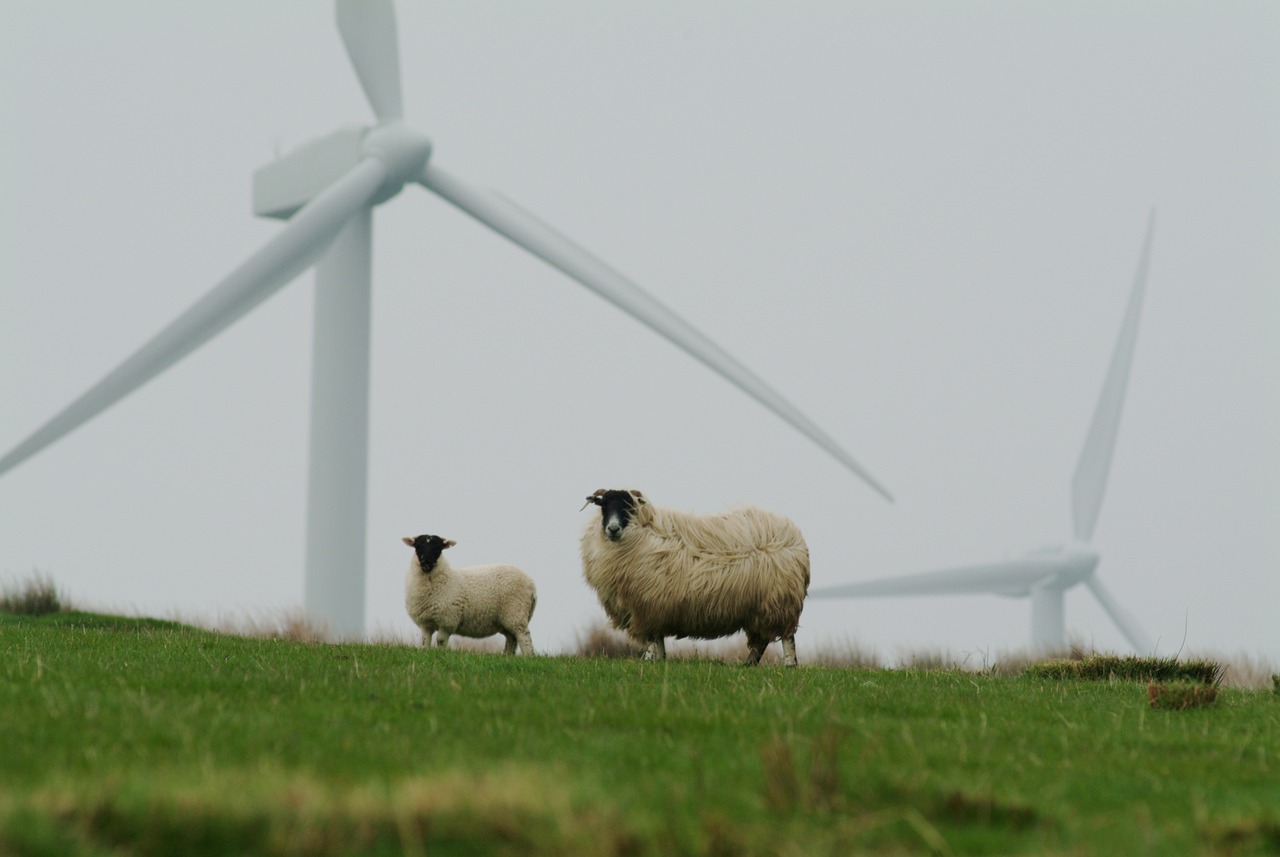 découvrez l'univers des éoliennes : technologies innovantes, fonctionnement, avantages écologiques et leur rôle essentiel dans la transition énergétique. informez-vous sur les dernières avancées et leur impact sur l'environnement.