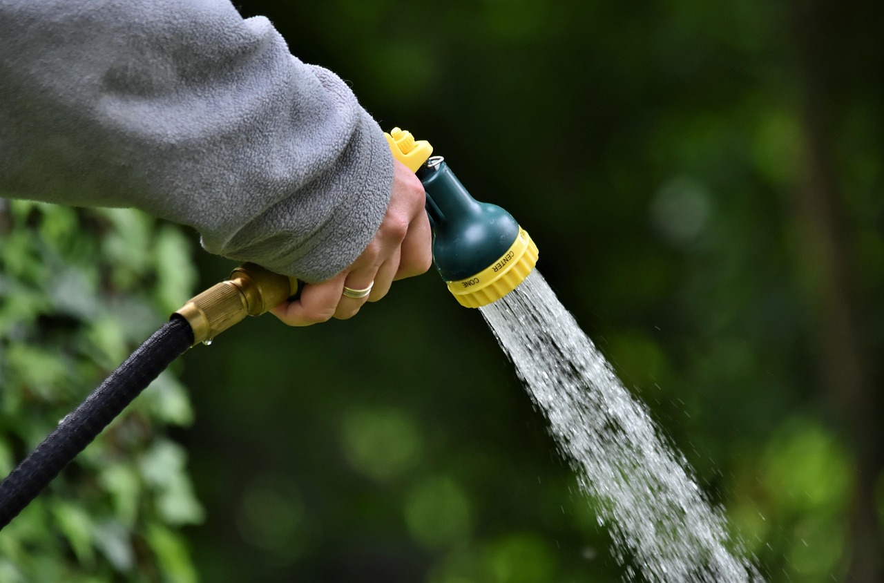 découvrez l'importance de l'eau pour notre planète et notre santé. explorez les différentes sources d'eau, ses usages quotidiens et les enjeux liés à sa préservation.