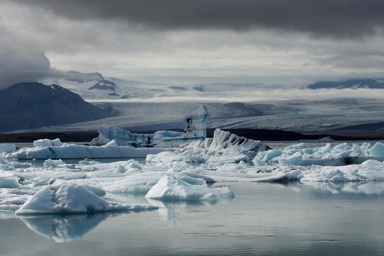 découvrez le monde fascinant des glaciers, ces gigantesques masses de glace qui façonnent notre planète. explorez leur formation, leur importance écologique et les menaces qui pèsent sur eux à cause du changement climatique.