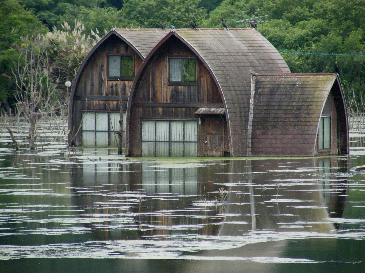 découvrez les causes, conséquences et solutions face aux inondations. informez-vous sur les mesures préventives et les interventions d'urgence pour protéger votre environnement et votre sécurité.